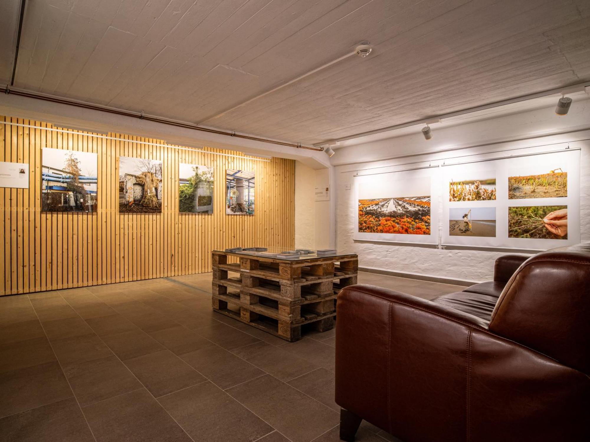 Hotel Stone Zingst Exterior foto